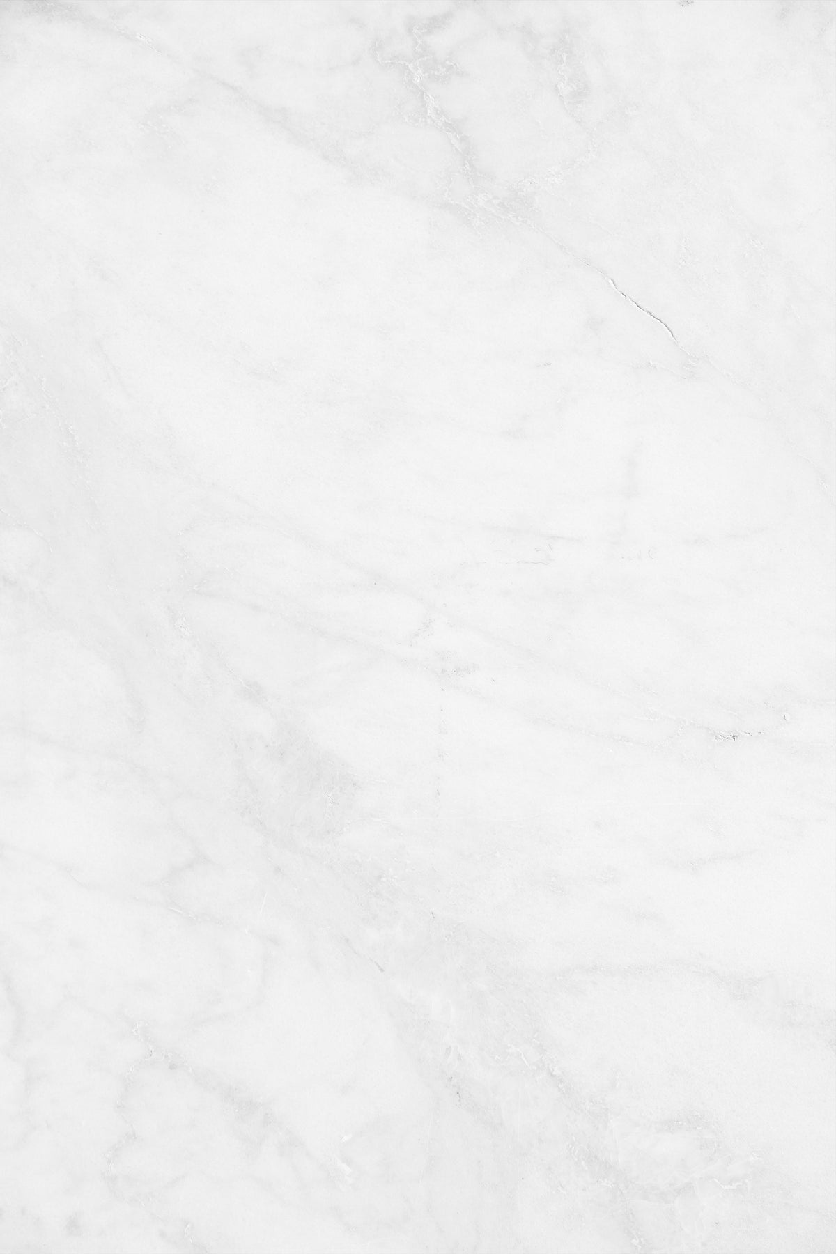 Gros plan texte jarre porcelaine blanche - Sainte Harmonie, Baijiu Français.