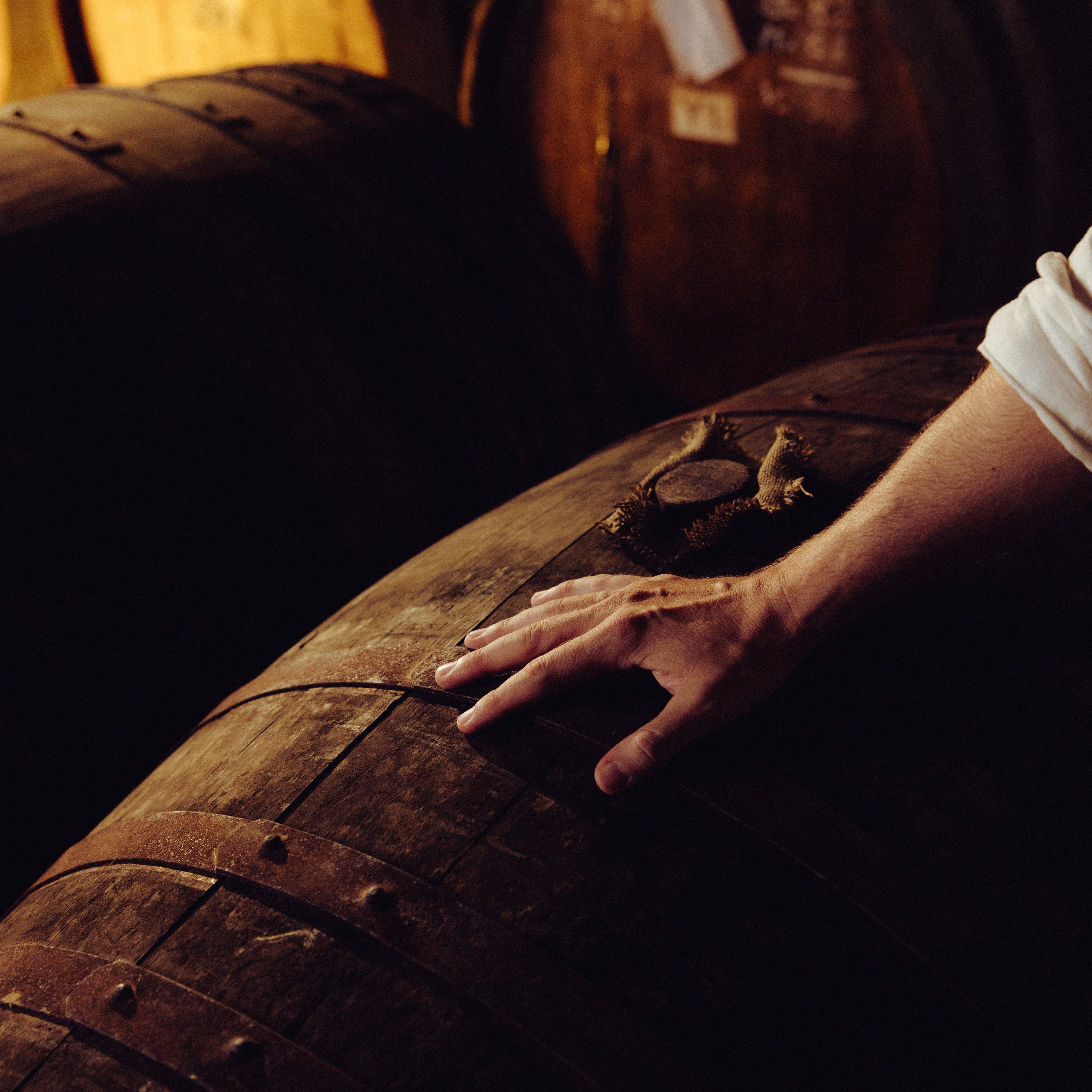 Gros plan sur la main d'un artisan posée sur un vieux tonneau en bois dans la pénombre d'un chai, symbolisant le temps de maturation et le savoir-faire - Sainte Harmonie, Baijiu Français.